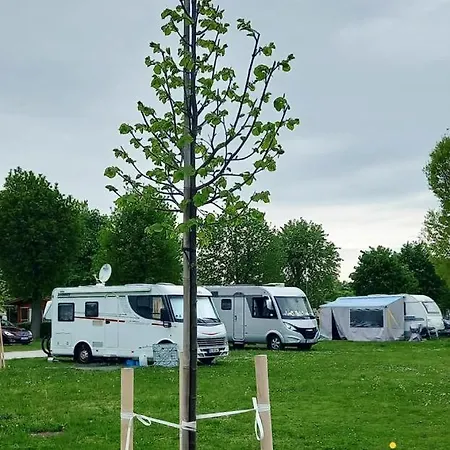 Polzer Buekfuerdo